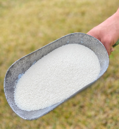 Harvest Grain Mills photo 17